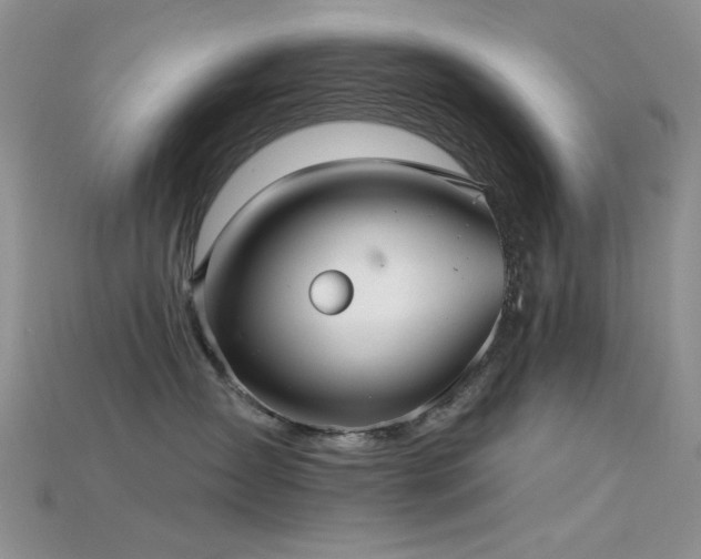 X0000115730431200911121515