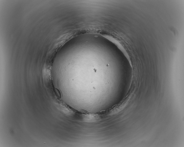 X0000115730432200911121515