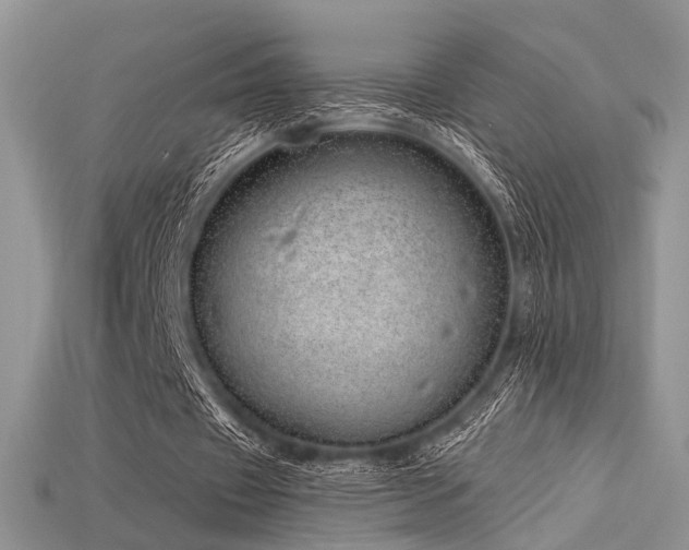 X0000115730433200911121515