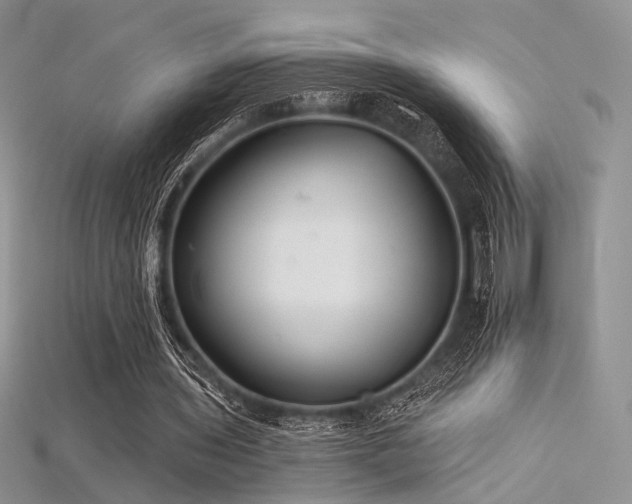 X0000115730435200911121515