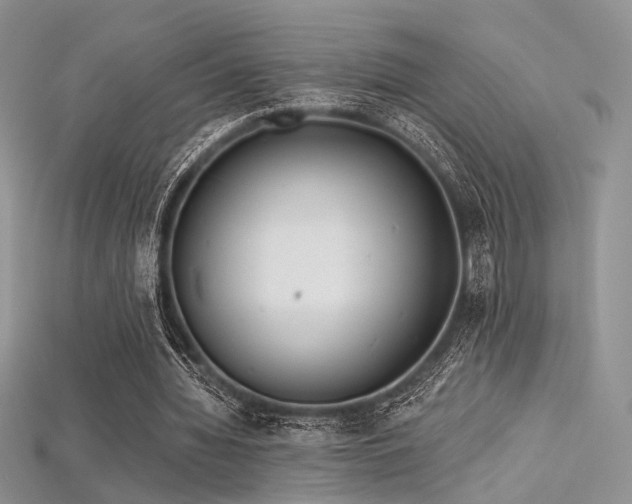 X0000115730436200911121515