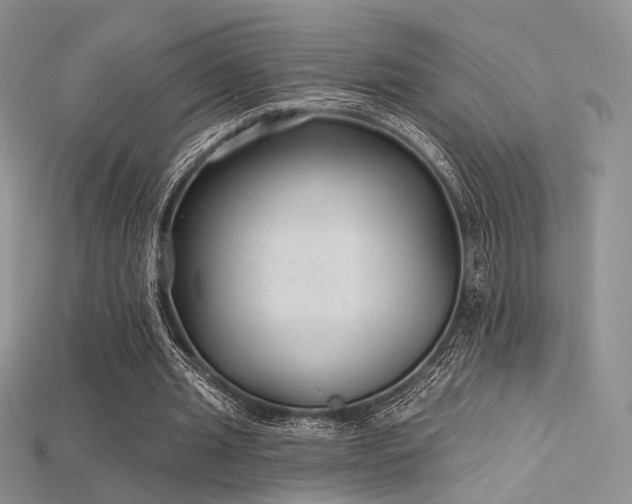 X0000115730437200911121515