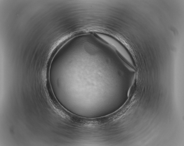 X0000115730438200911121515