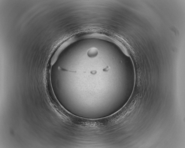 X0000115730439200911121515