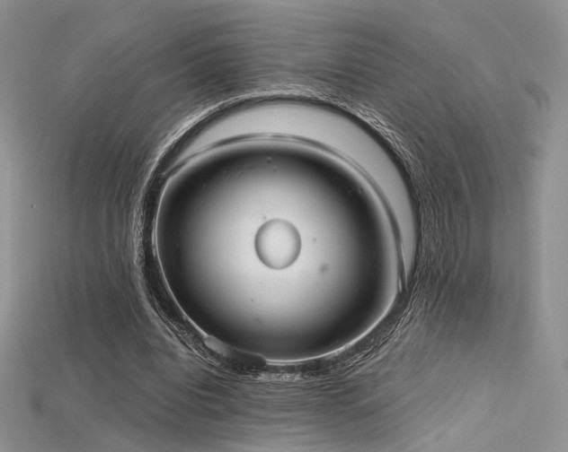 X0000115730440200911121515