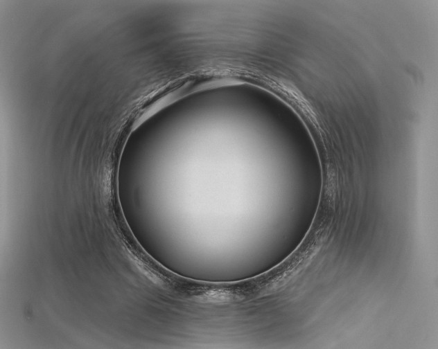 X0000115730441200911121515