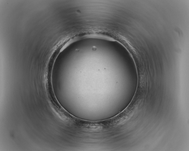 X0000115730443200911121515