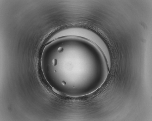 X0000115730444200911121515