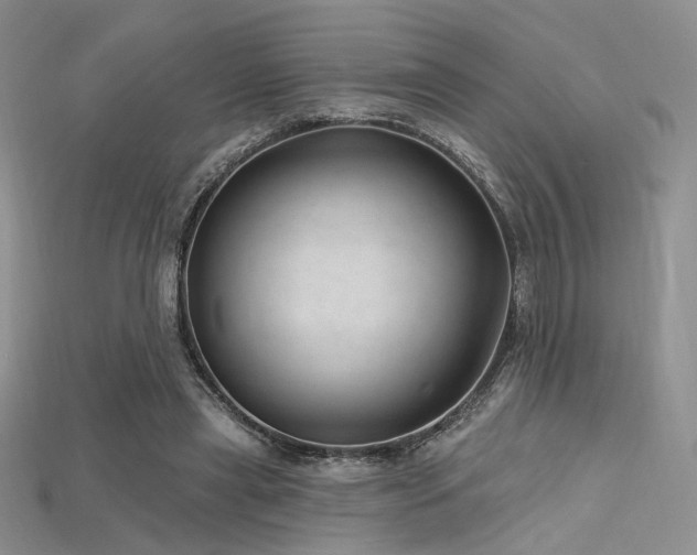 X0000115730445200911121515