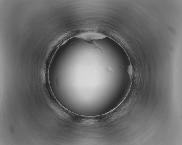 X0000115730446200911121515