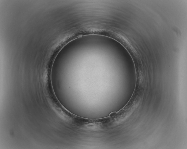 X0000115730447200911121515