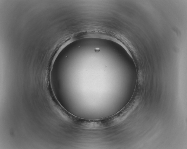 X0000115730449200911121515