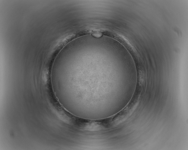 X0000115730451200911121515