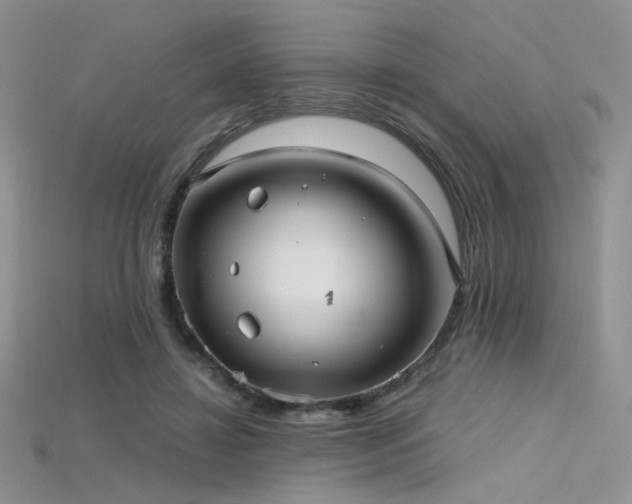 X0000115730452200911121515