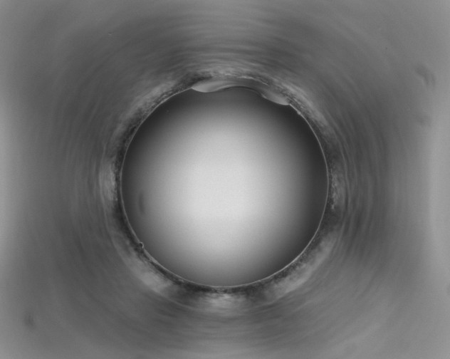 X0000115730453200911121515