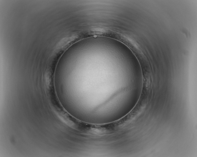 X0000115730455200911121515