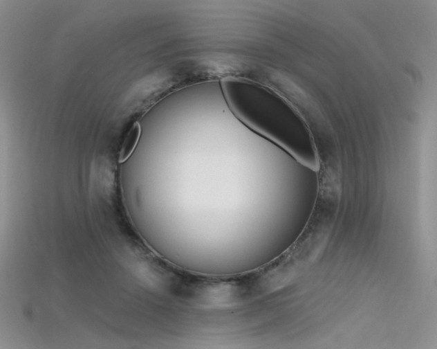 X0000115730456200911121515