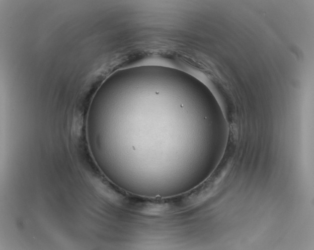 X0000115730458200911121515