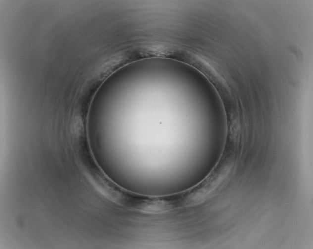 X0000115730459200911121515