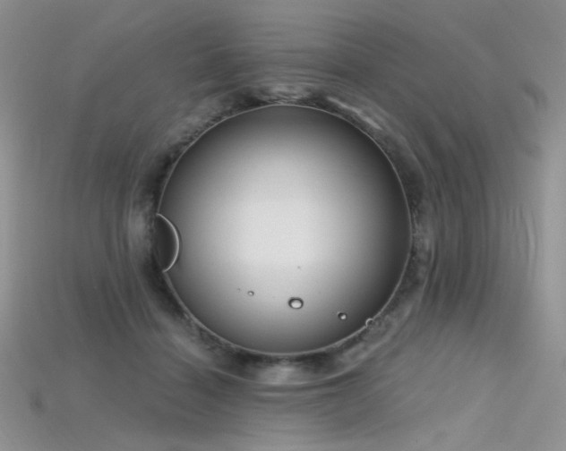 X0000115730460200911121515