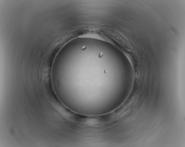 X0000115730462200911121515