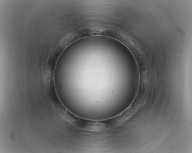 X0000115730463200911121515