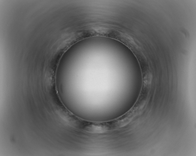 X0000115730464200911121515