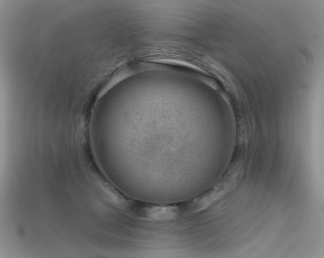 X0000115730465200911121515