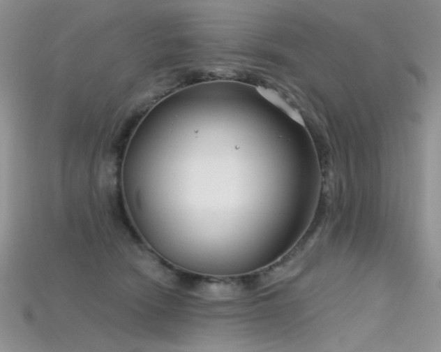 X0000115730466200911121515