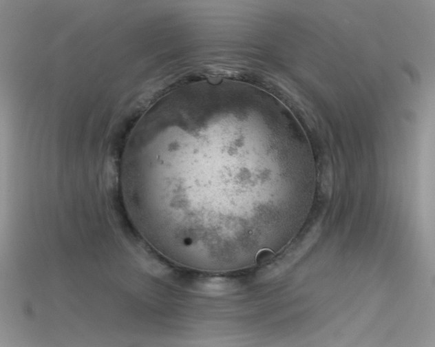 X0000115730467200911121515