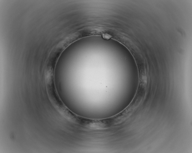 X0000115730468200911121515