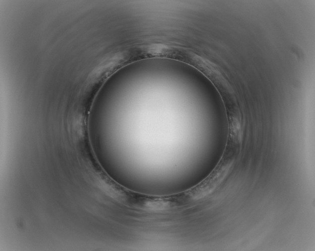 X0000115730470200911121515