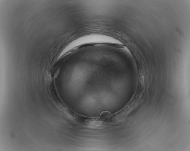 X0000115730471200911121515