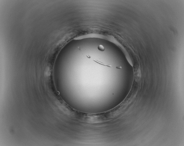 X0000115730472200911121515