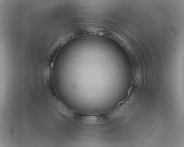 X0000115730473200911121515