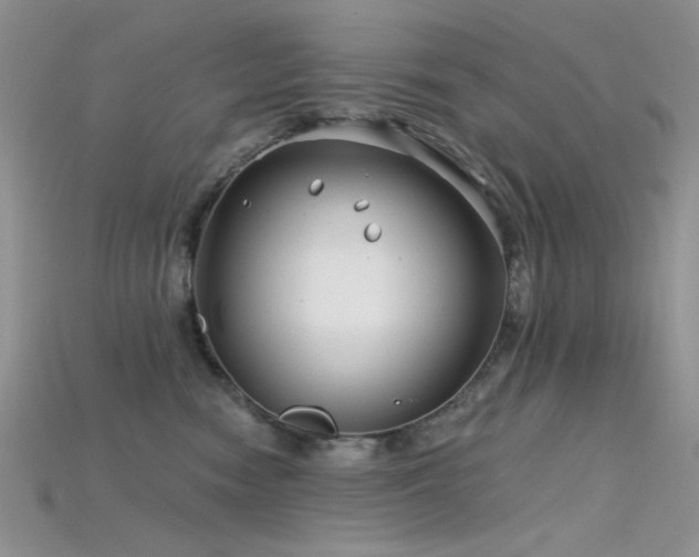 X0000115730474200911121515