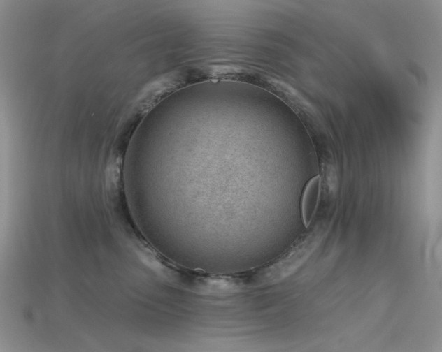 X0000115730475200911121515