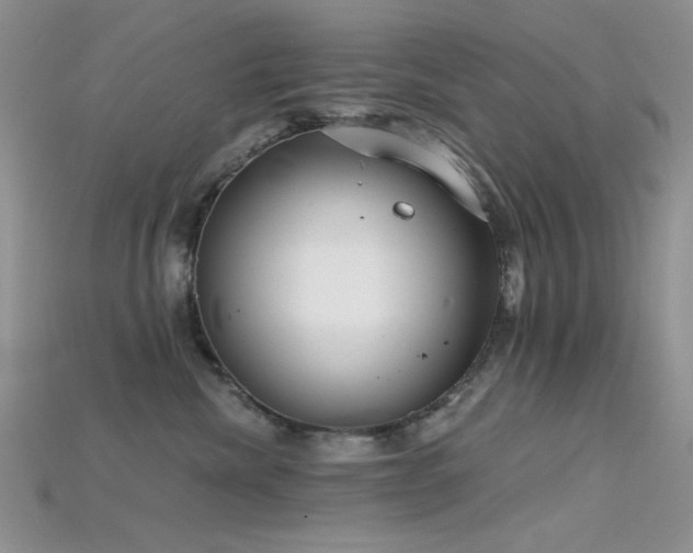 X0000115730476200911121515