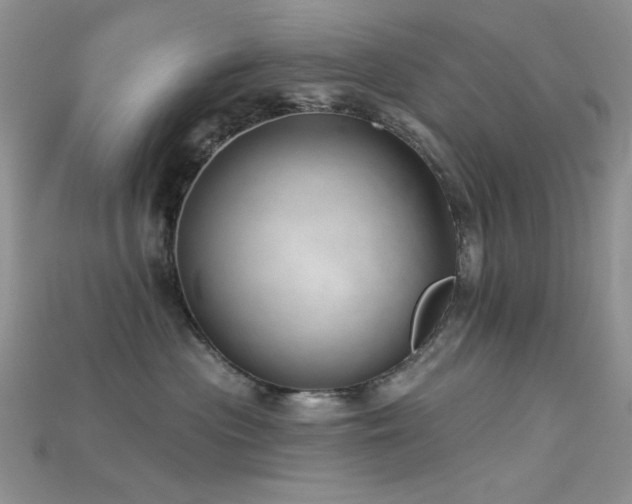 X0000115730477200911121515