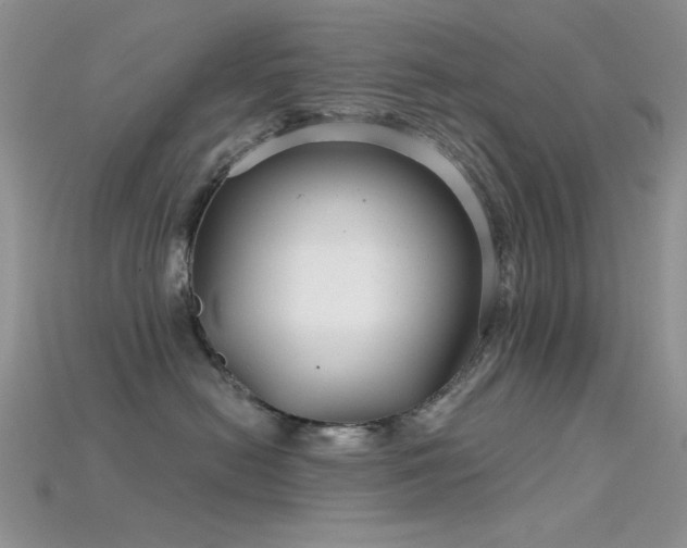 X0000115730478200911121515