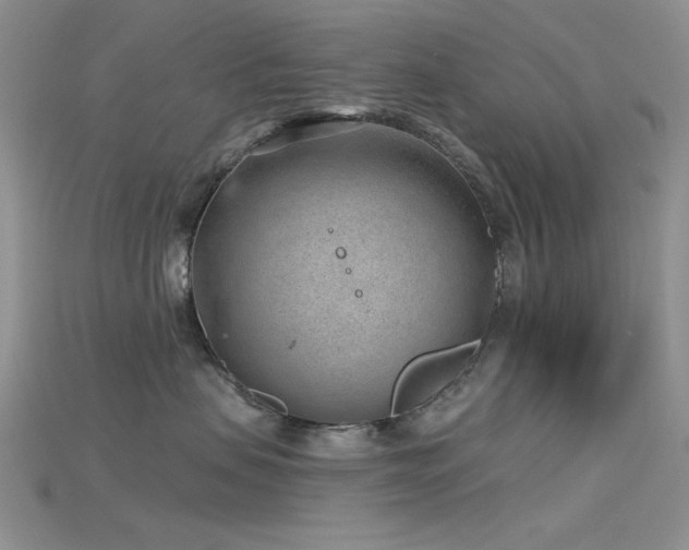 X0000115730479200911121515