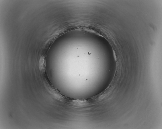 X0000115730480200911121515