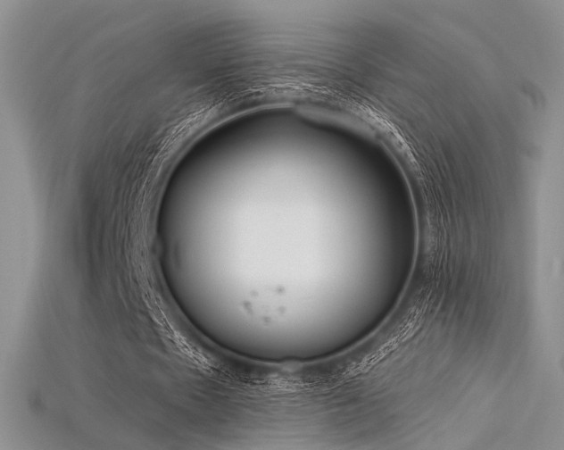 X0000115730481200911121515