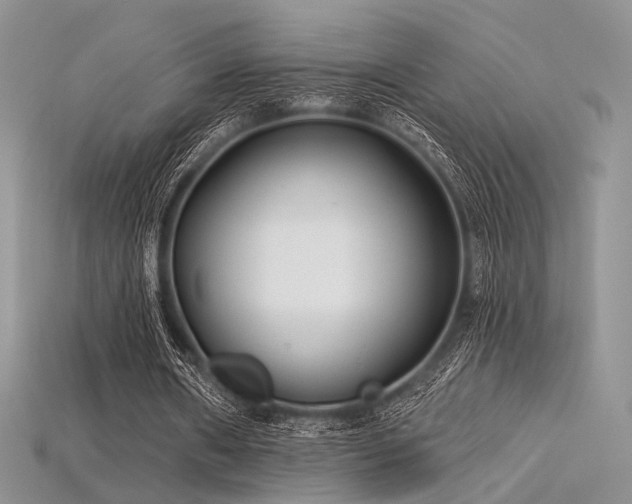 X0000115730482200911121515