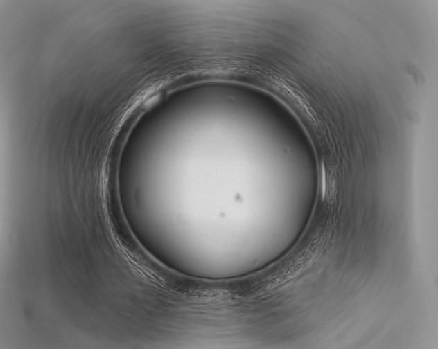 X0000115730483200911121515