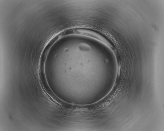 X0000115730484200911121515