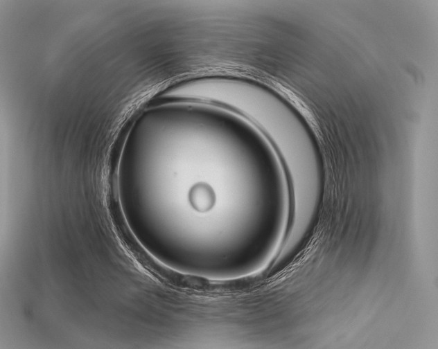 X0000115730485200911121515