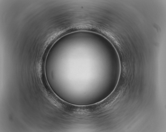 X0000115730487200911121515