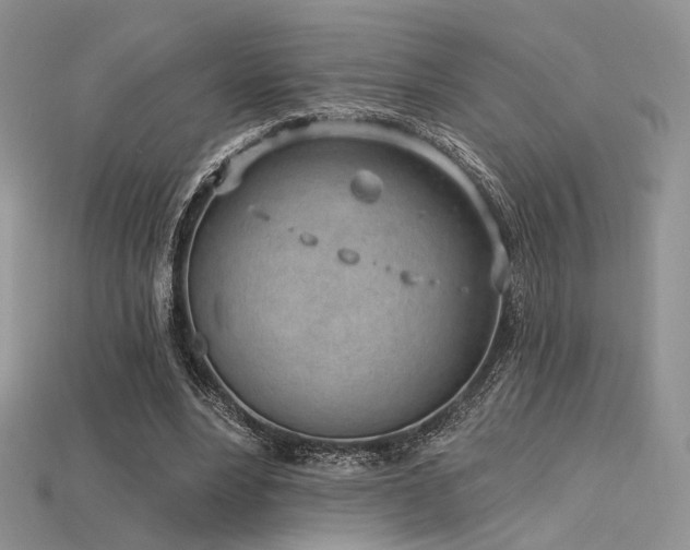 X0000115730488200911121515