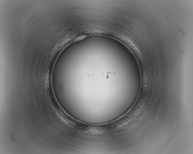 X0000115730489200911121515